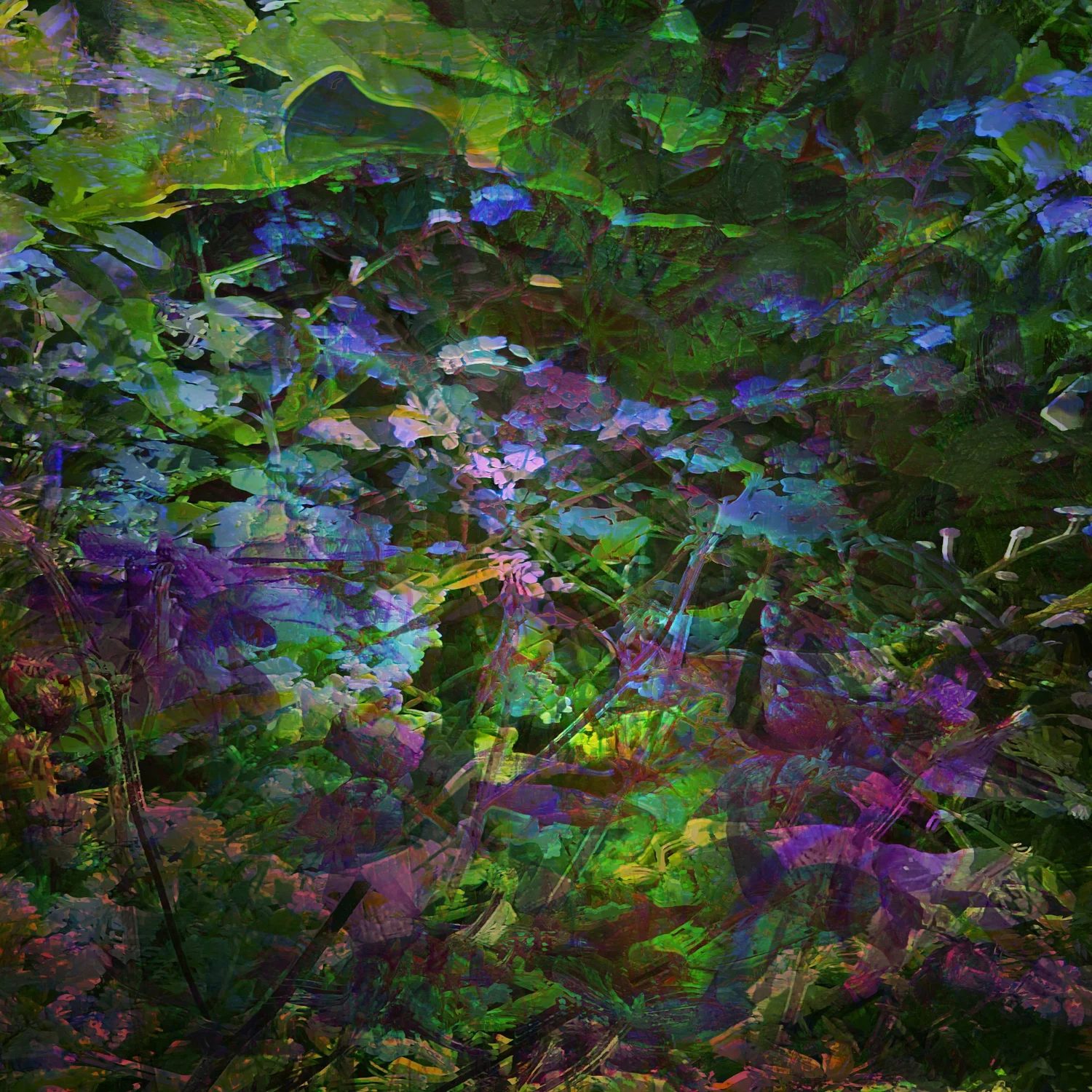 Artwork by Julia Whitty