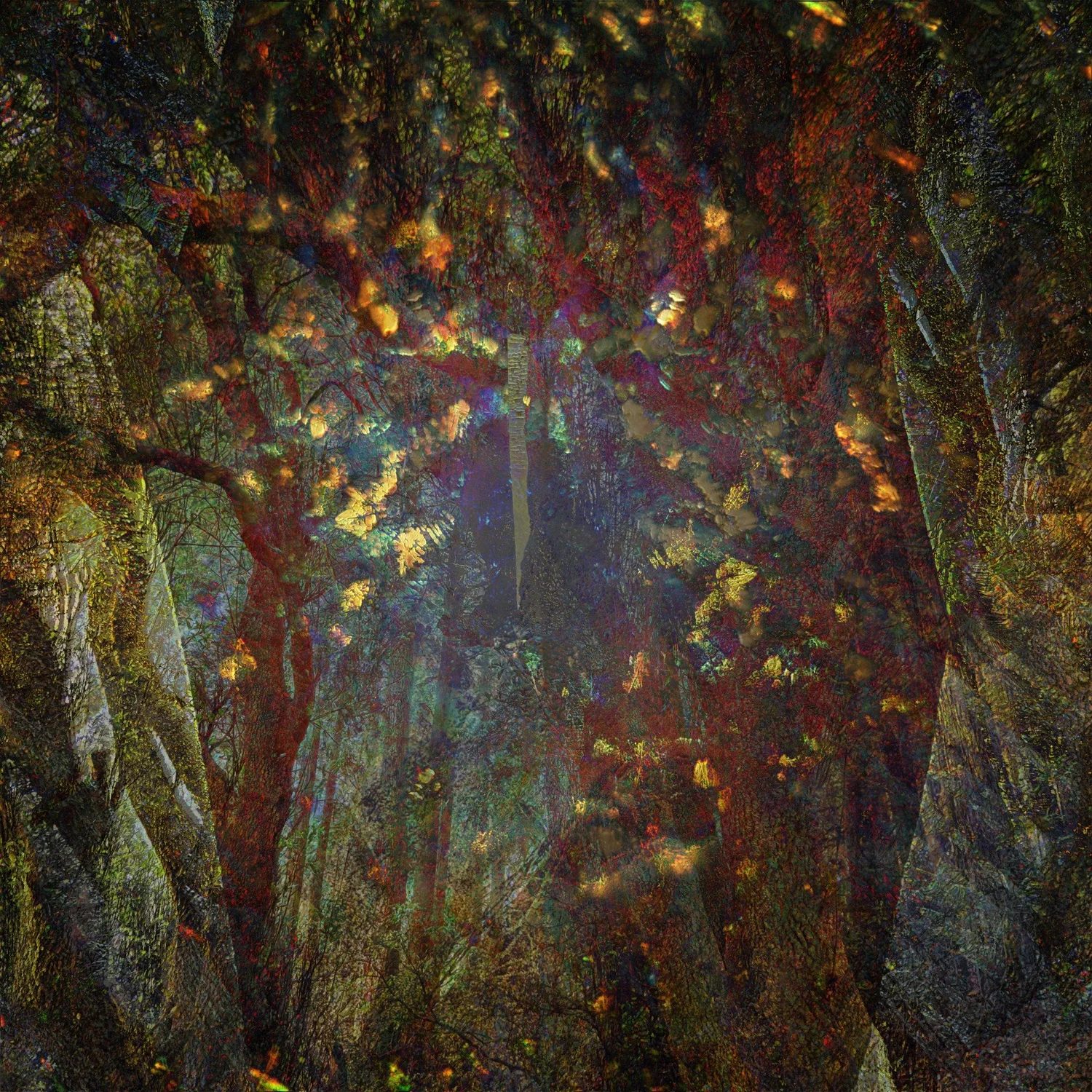 Artwork by Julia Whitty