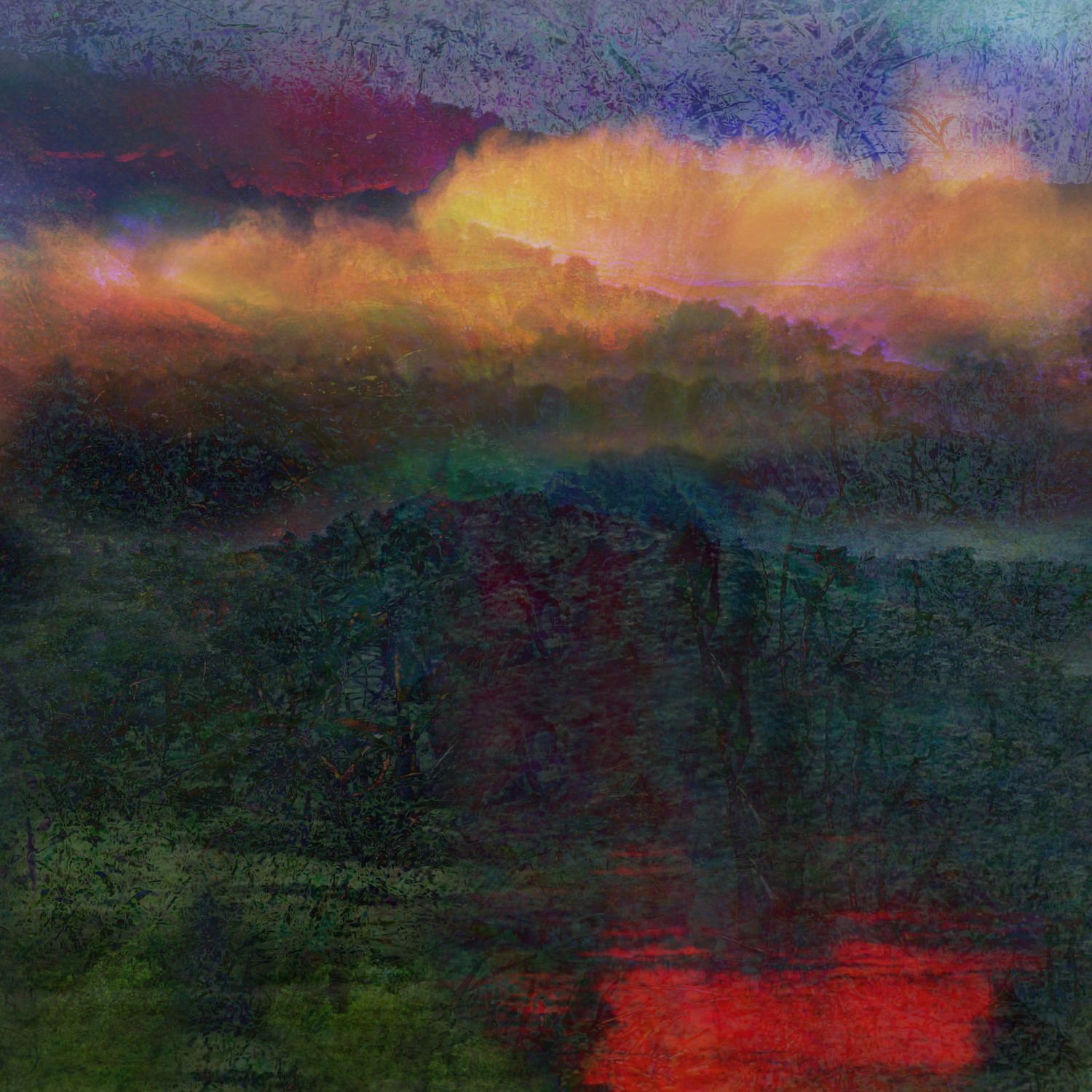 Artwork by Julia Whitty