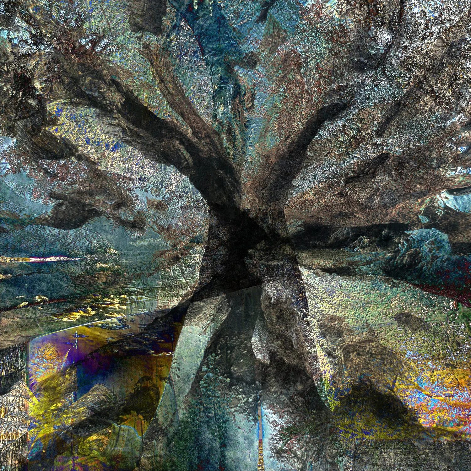 Artwork by Julia Whitty