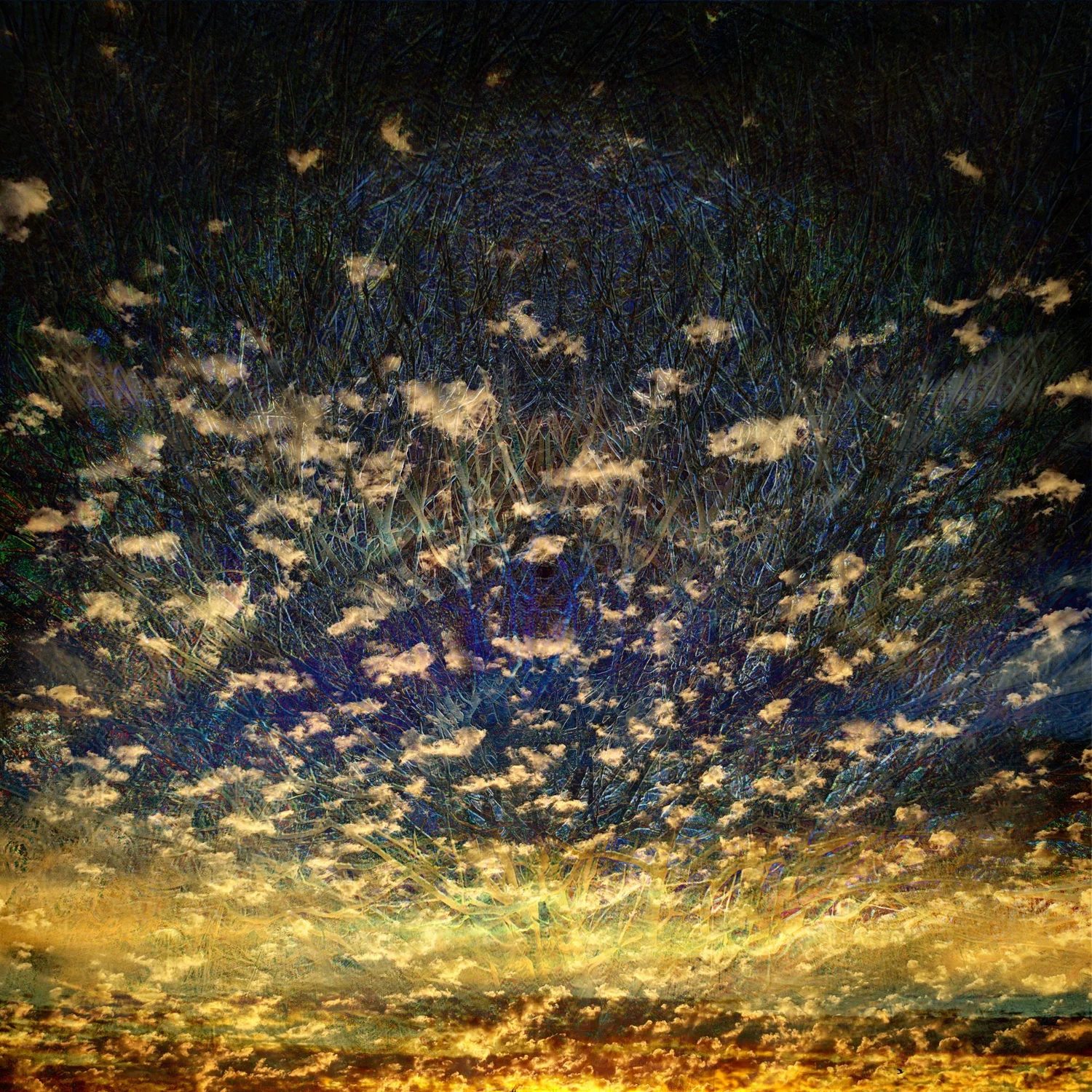 Artwork by Julia Whitty