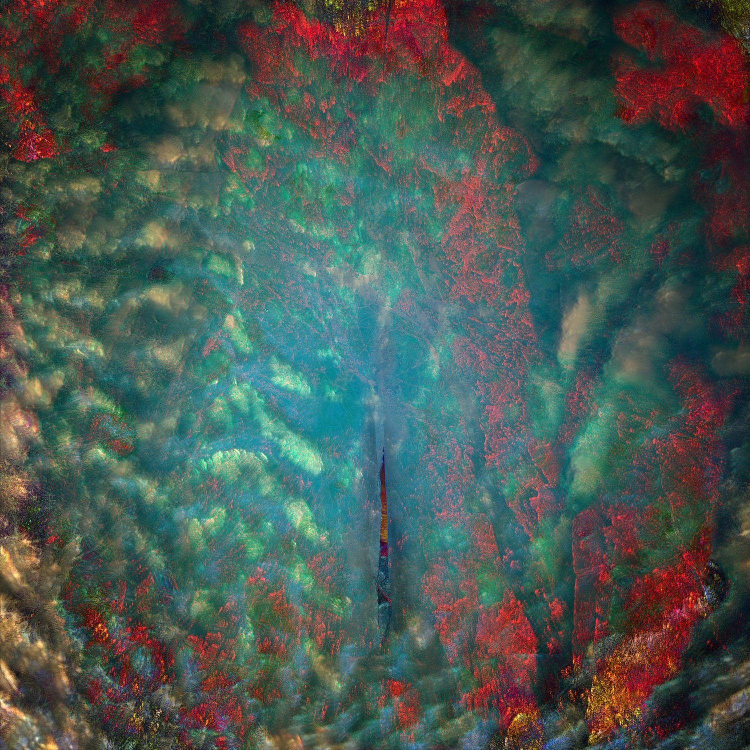 Artwork by Julia Whitty